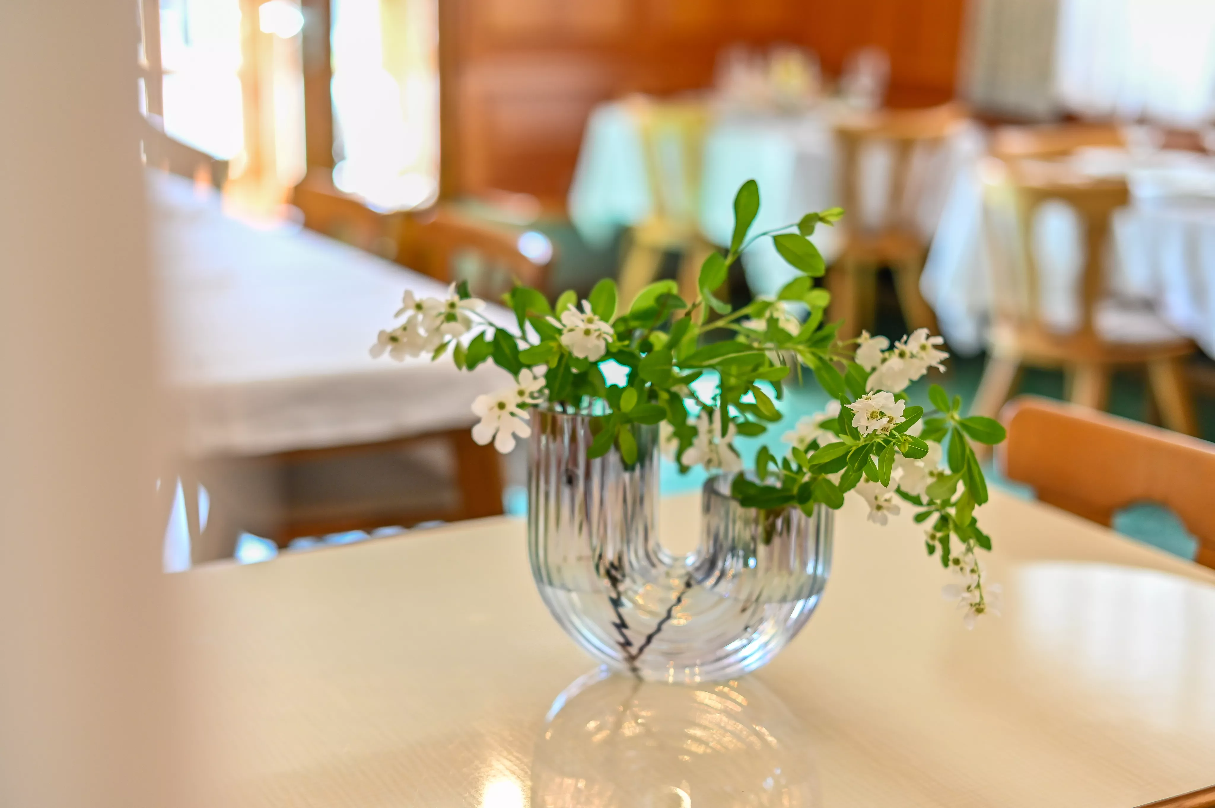 Unsere Veranstaltungen